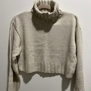 H&M Cropped Turtleneck Sweater